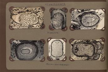 (PHOTO-MICROGRAPHS--PALAEO BOTANY) Album entitled Palaeo Botany containing approximately 121 abstract micro-photographs of plants and c